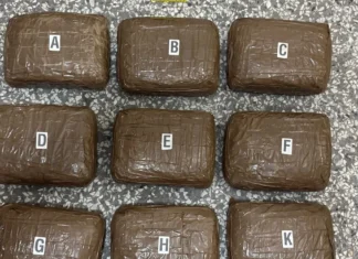 U Zenici pronađeno skoro 12 kilograma droge, jedna osoba uhapšena (FOTO)