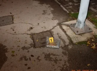 Prilikom redovne kontrole učesnika u saobraćaju, policija u Zenici pronašla 1 kg droge