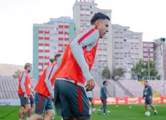 Poljaci o terenu Bilinog polja u Zenici: “Ovo je pašnjak za krave”