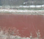 Ekološki incident rijeka Bosna u Zenici