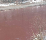 Ekološki incident rijeka Bosna u Zenici