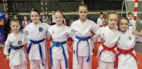 Karate klubu "Perfekt" 33 medalje sa turnira iz Tuzle, Doboja i Mostara (FOTO)