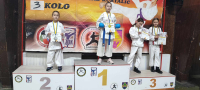 Karate klub "Perfekt" Zenica u Zavidovićima osvojio 67 medalja