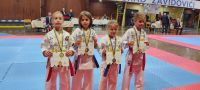 Karate klub "Perfekt" Zenica u Zavidovićima osvojio 67 medalja