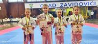 Karate klub "Perfekt" Zenica u Zavidovićima osvojio 67 medalja