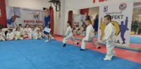 Karate klub "Perfekt" organizovao klupsko polaganje za učenička zvanja