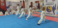 Karate klub "Perfekt" organizovao klupsko polaganje za učenička zvanja