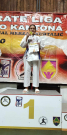 Karate klub "Perfekt" Zenica u Zavidovićima osvojio 67 medalja