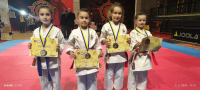 Novih 13 medalja za KK "Perfekt" Zenica sa turnira u Tuzli