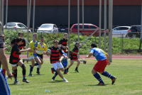 Ragbi klub "Čelik" organizirao 6. Kids Rugby festival