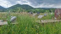 Prašnice