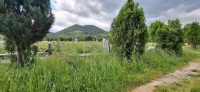 Prašnice