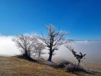 FB IMG 1765750778932