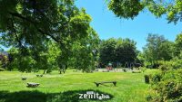 Foto: Zenit.ba