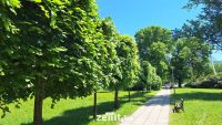 Foto: Zenit.ba
