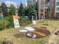 Održana edukativna radionica "Little Bee Friends"