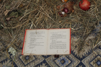 Dan kruha i zahvalnosti za plodove zemlje obilježen u KŠC Zenica