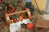 Dan kruha i zahvalnosti za plodove zemlje obilježen u KŠC Zenica