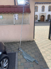 Oskrnavljene zastave na ulazu u Čaršijsku džamiju i Šehidsko mezarje
