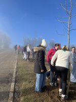 viber image 2025-12-14 11-26-46-273