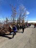 viber image 2025-12-14 15-14-59-503