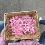 prva gimnazija – fotografija 1