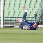 Trening Zmajevi reprezentacija BiH Švedska – fotografija 14